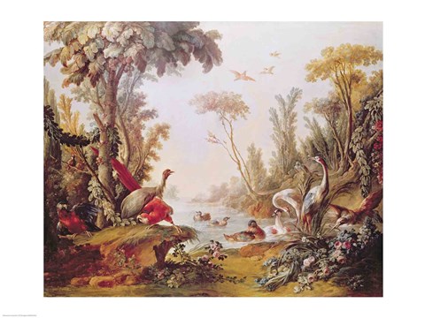 Framed Lake with geese, storks, parrots and herons, from the Salon of Gilles Demarteau Print