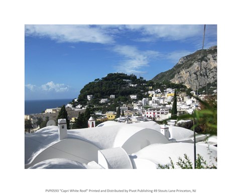 Framed Capri White Roof Print