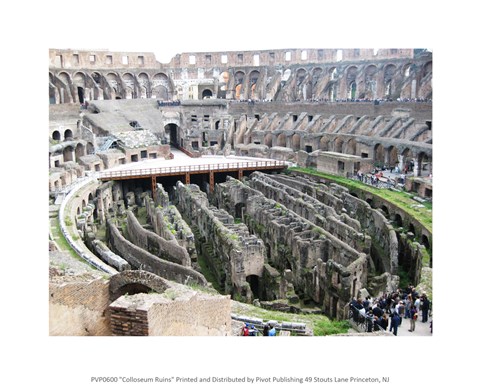 Framed Coloseum Ruins Print