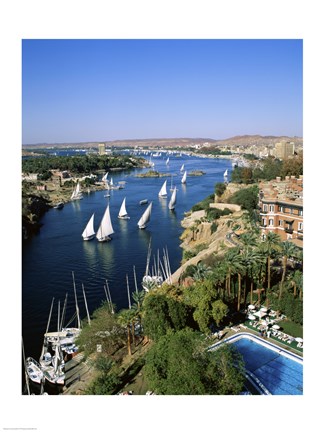 Framed Sailboats In A River, Nile River, Aswan, Egypt Vertical Landscape Print