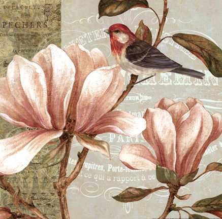Framed Magnolia Collage I Print