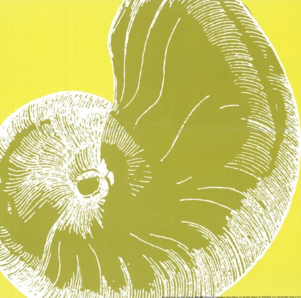 Framed Graphic Shell II Print