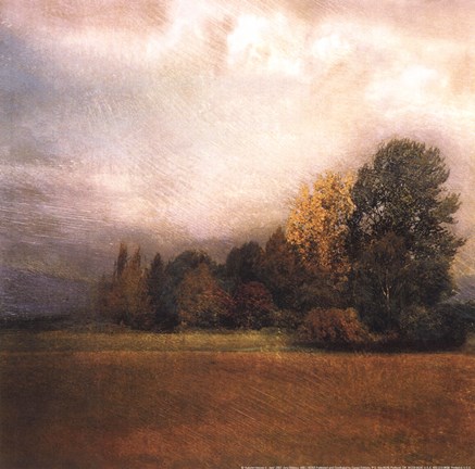 Framed Autumn Horizon II Print