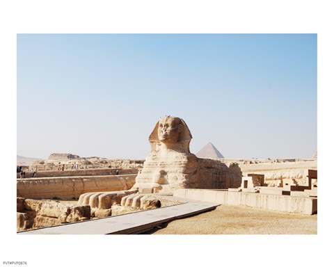 Framed Sphinx Print