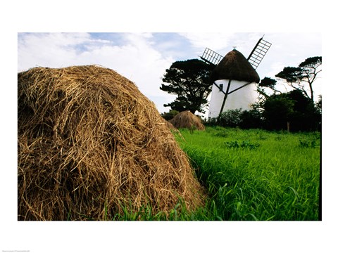Framed Traditional windmill in a field, Tacumshane Windmill, Ireland Print