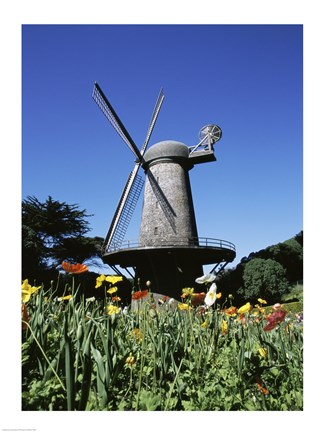 Framed Low angle view of a traditional windmill, Queen Wilhelmina Garden, Golden Gate Park, San Francisco, California, USA Print