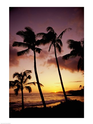 Framed Silhouette of palm trees at sunset, Kauai, Hawaii, USA Print