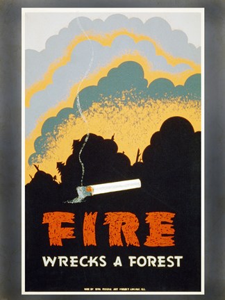 Framed Fire Wrecks a Forest Print