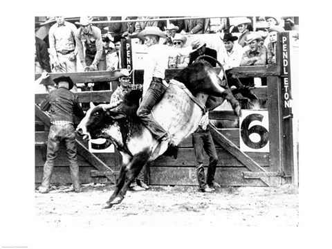 Framed Side profile of a cowboy riding a bull at a rodeo Print