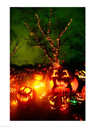 Framed Jack o&#39; lanterns lit up at night, Roger Williams Park Zoo, Rhode Island Print