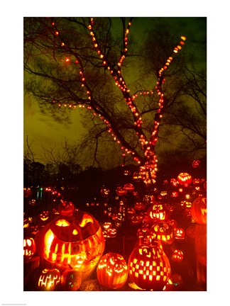 Framed Jack o&#39; lanterns lit up at night, Roger Williams Park Zoo, Providence, Rhode Island, USA Print