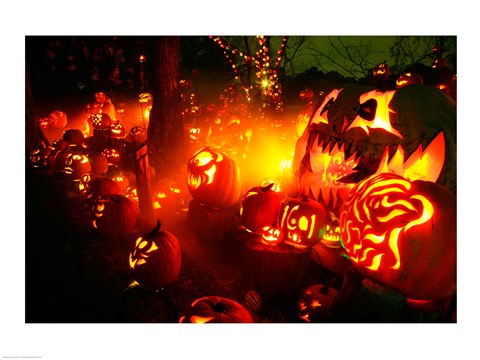 Framed Jack o&#39; lanterns lit up Roger Williams Park Zoo, RI Print