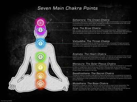 Framed Seven Main Chakra Points Print