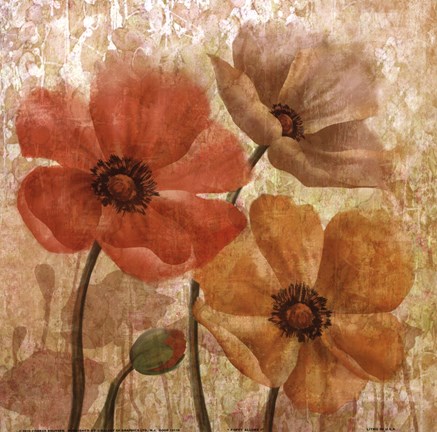 Framed Poppy Allure I Print