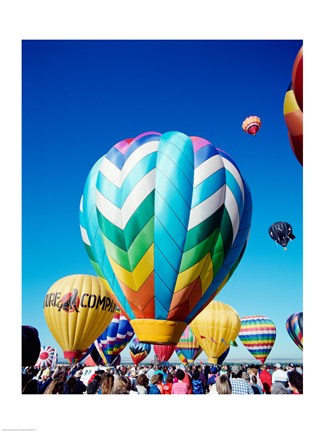 Framed Hot air balloons taking off, Albuquerque International Balloon Fiesta, New Mexico Print