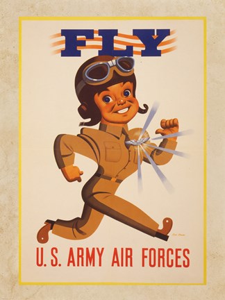 Framed Fly U.S. Army Air Forces Print