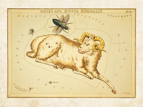 Framed Aires and Musca Borealis Constellation Print