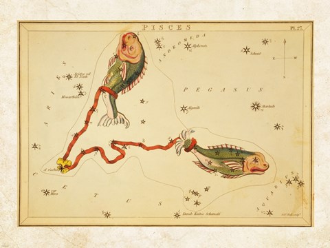 Framed Pisces Zodiac Sign Print