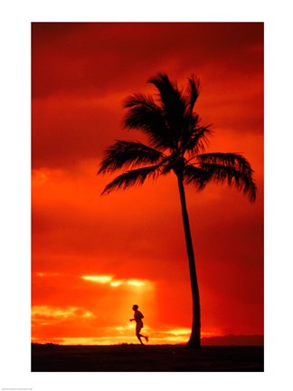 Framed Silhouette of a man running by a palm tree at sunset, Maui, Hawaii, USA Print