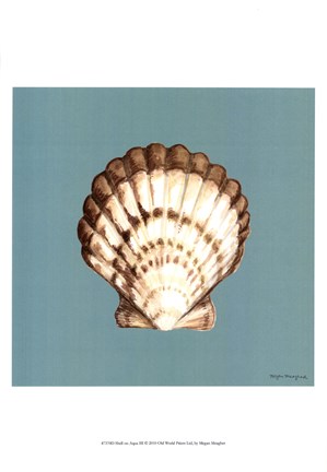 Framed Shell on Aqua III Print