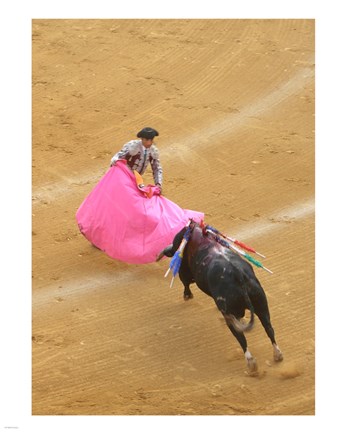 Framed Matador Bullfight Print