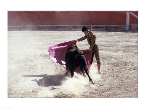 Framed Matador fighting with a bull, Spain Print