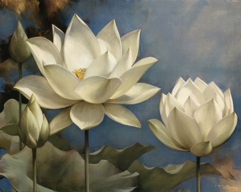 Framed Lotus I Print