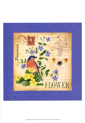 Framed Blooming Garden I Print