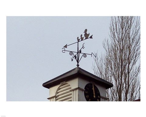 Framed Weathervane on Damerham Village Hall Print