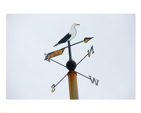 Framed Seagull Weathervane Print