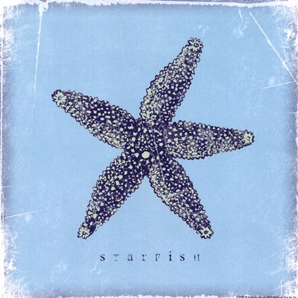 Framed Starfish - Blue Print