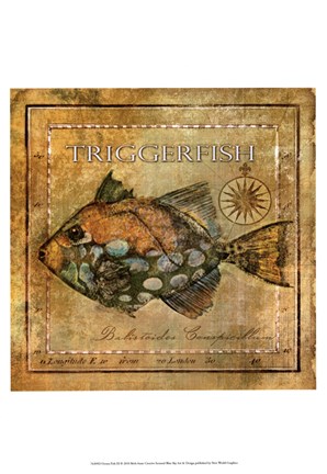 Framed Ocean Fish XI Print