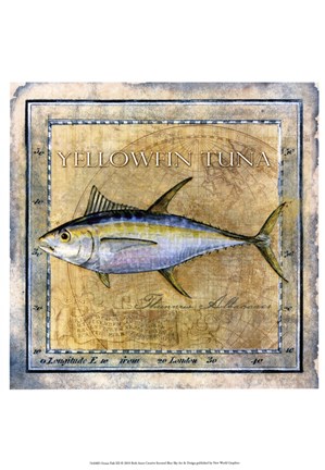 Framed Ocean Fish XII Print