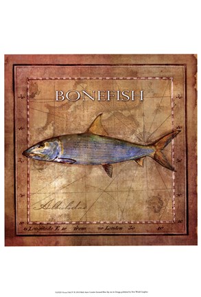 Framed Ocean Fish IV Print