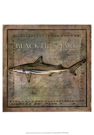 Framed Ocean Fish VI Print