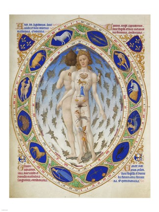 Framed Anatomical Man Print