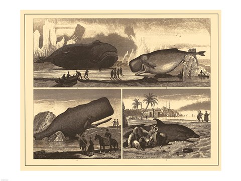 Framed Brockhaus and Efron Encyclopedic Dictionary 126 Print