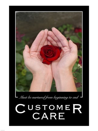 Framed Customer Care Affirmation Poster, USAF Print