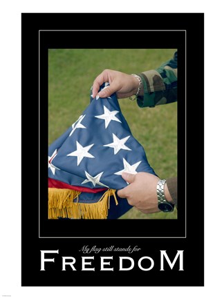 Framed Freedom Affirmation Poster, USAF Print
