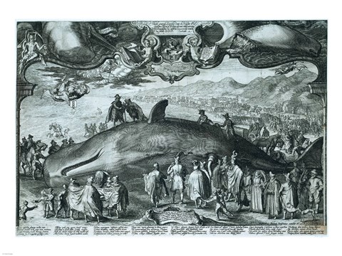 Framed Beached wale near Beverwijk Print