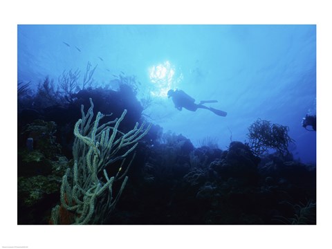 Framed Low angle view of a scuba diver swimming underwater, Belize Print