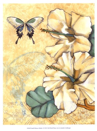 Framed Small Hibiscus Medley I Print