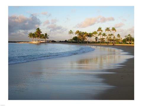 Framed Waikiki Beach And Palm Trees Print