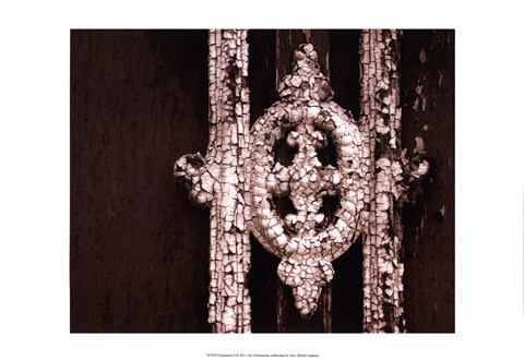 Framed Ornament II Print