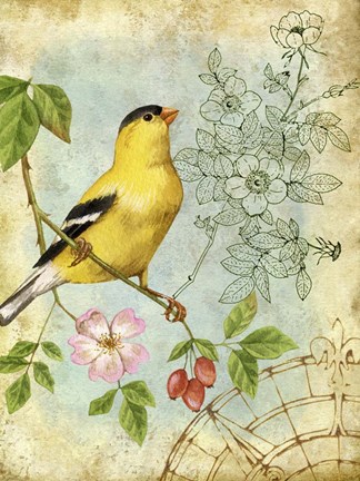 Framed Songbird Sketchbook III Print