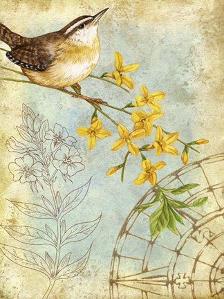 Framed Songbird Sketchbook I Print