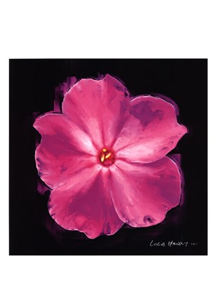 Framed Vibrant Flower III Print