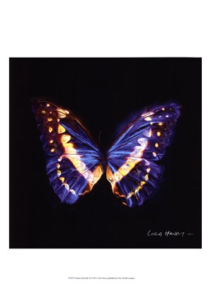 Framed Techno Butterfly II Print