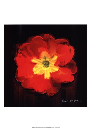 Framed Vibrant Flower IX Print