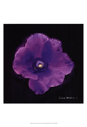 Framed Vibrant Flower VIII Print
